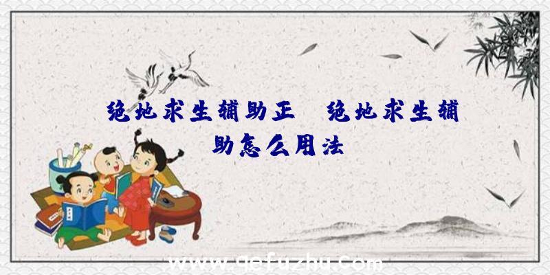 「绝地求生辅助正」|绝地求生辅助怎么用法